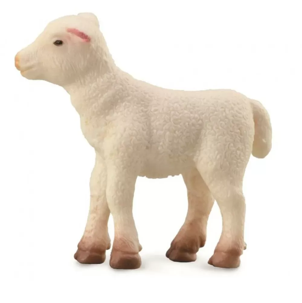 Sale Collecta Agnello Animale Giocattolo