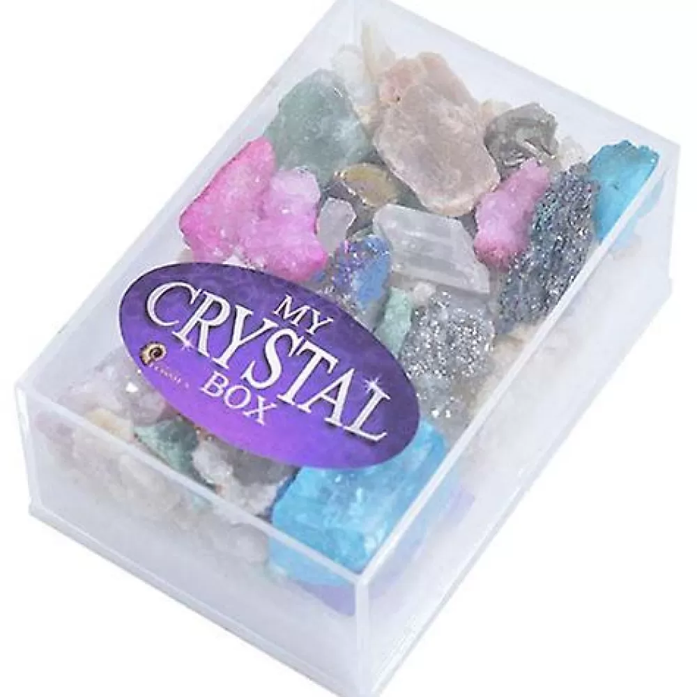 Shop British Fossils Box Di Cristalli
