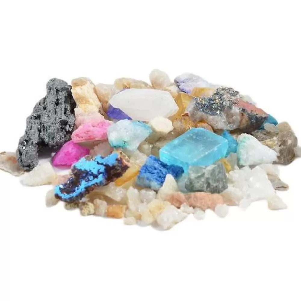 Shop British Fossils Box Di Cristalli