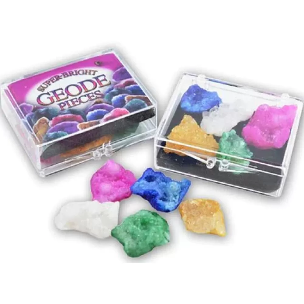 Hot British Fossils Box Di Geodi