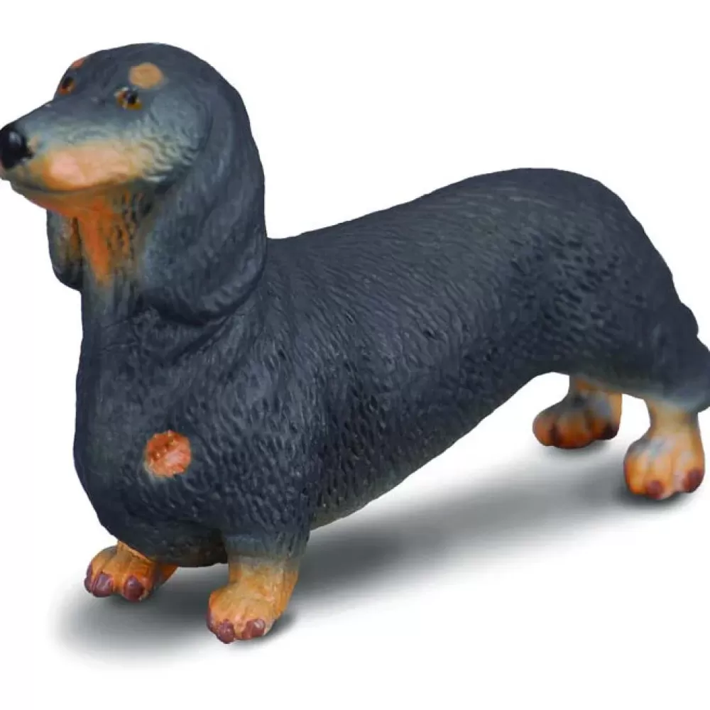 Fashion Collecta Cane Bassotto Animale Giocattolo