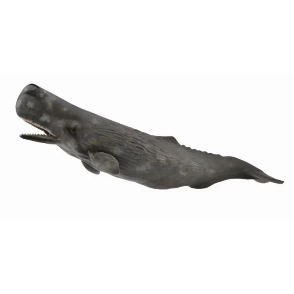 Store Collecta Capodoglio Animale Giocattolo