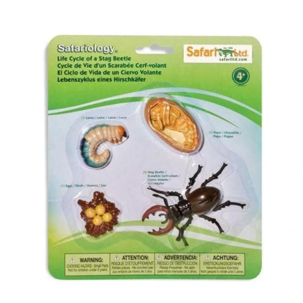 Discount Safari LTD Ciclo Vitale Del Cervo Volante