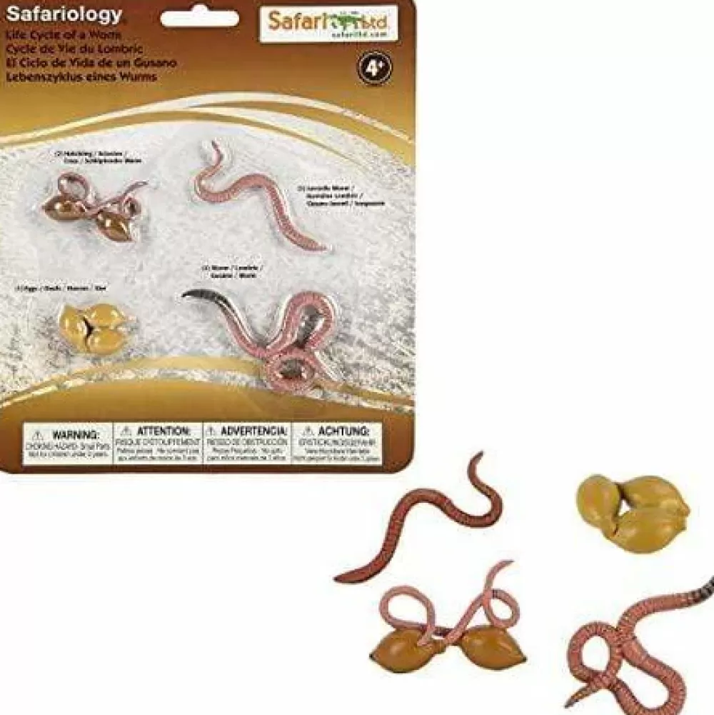 Cheap Safari LTD Ciclo Vitale Del Lombrico