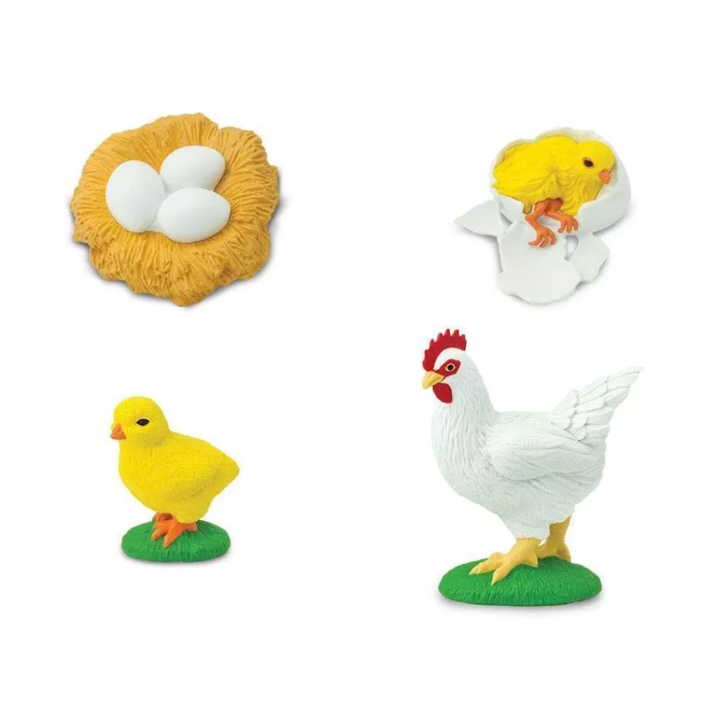 Best Sale Safari LTD Ciclo Vitale Della Gallina