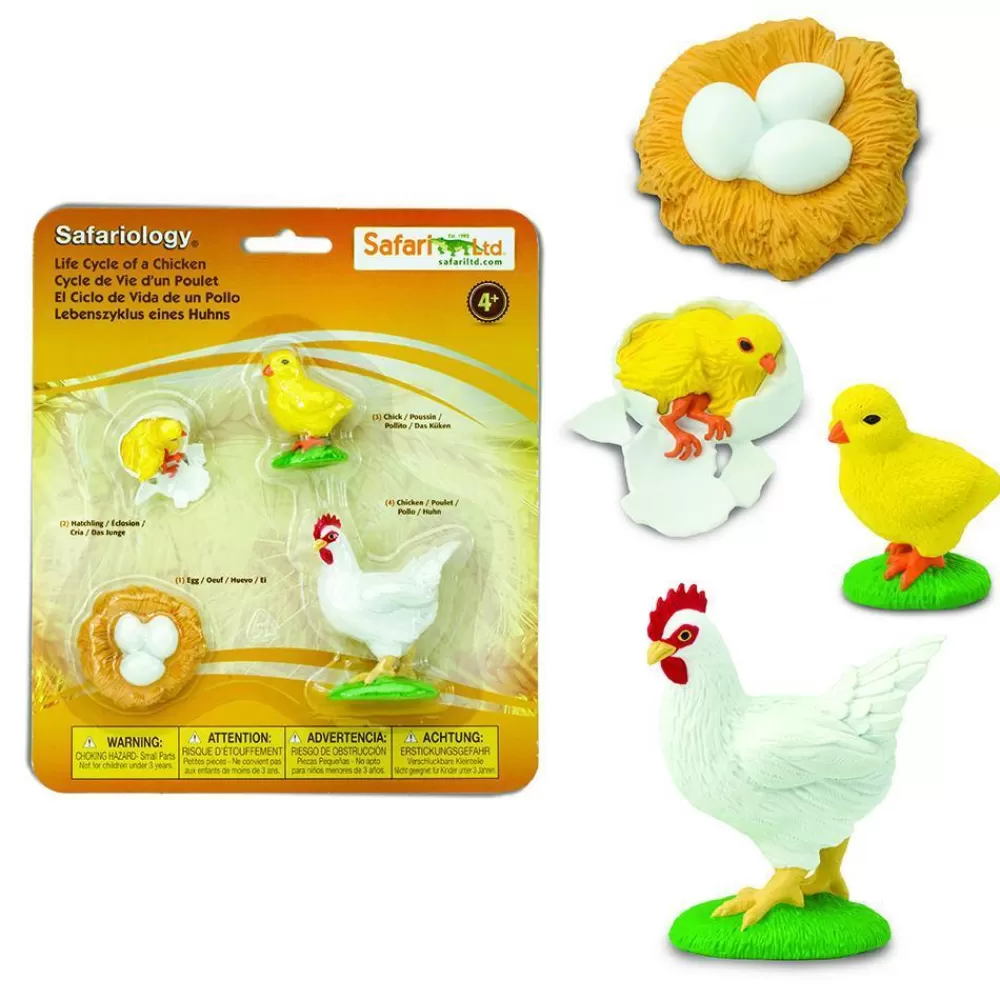 Cheap Safari LTD Ciclo Vitale Della Gallina