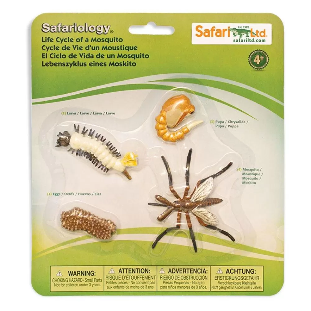 Best Sale Safari LTD Ciclo Vitale Della Zanzara