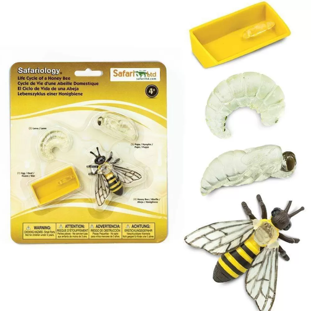 Cheap Safari LTD Ciclo Vitale Dell'Ape Mellifera