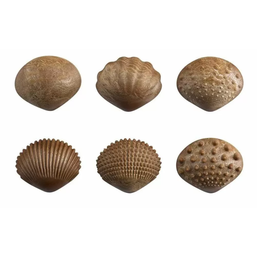 Flash Sale Edx Education Conchiglie Per La Stimolazione Tattile