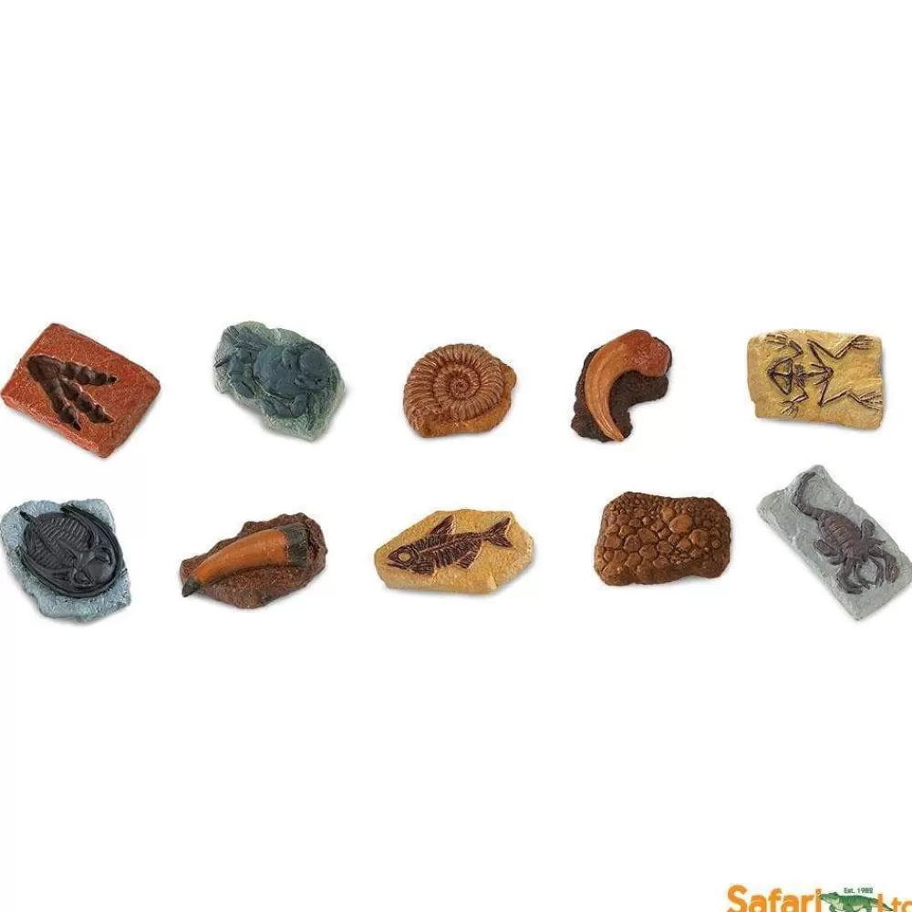 Store Safari LTD Confezione Tubo Fossili Preistorici