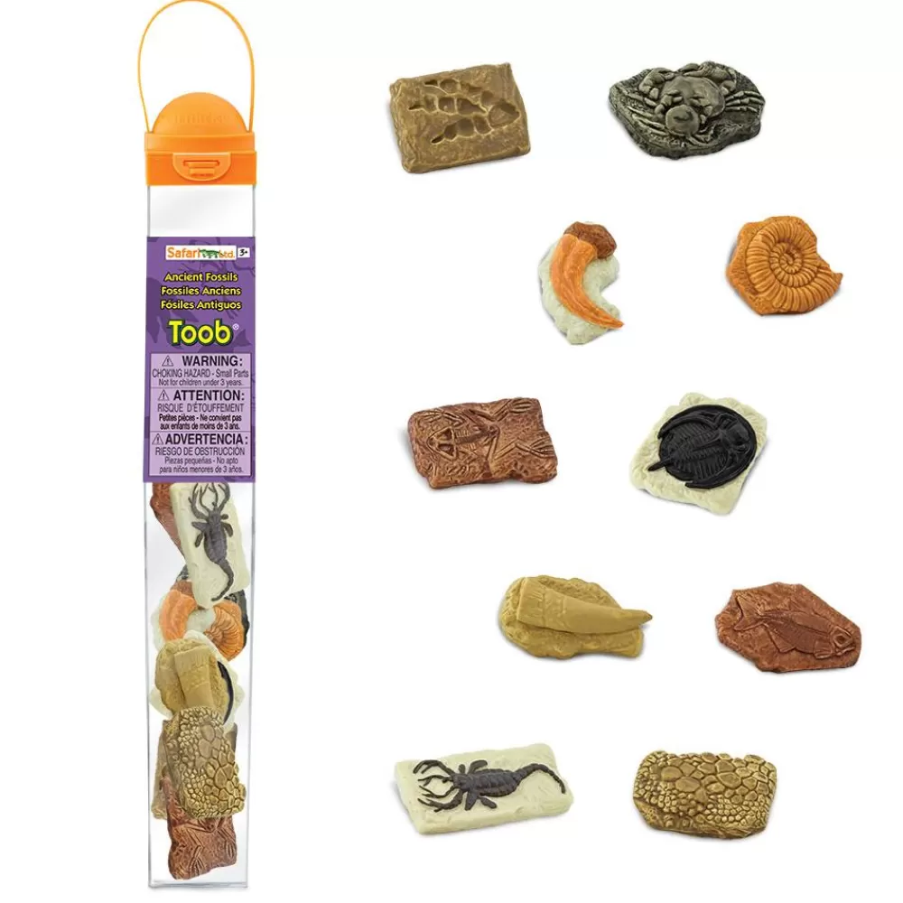Store Safari LTD Confezione Tubo Fossili Preistorici