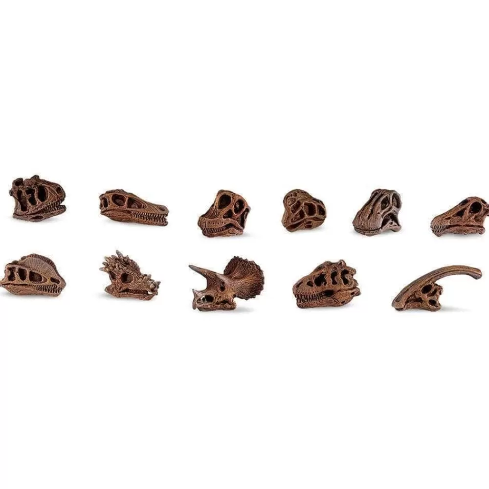 Outlet Safari LTD Confezione Tubo Teschi Di Dinosauro Ltd