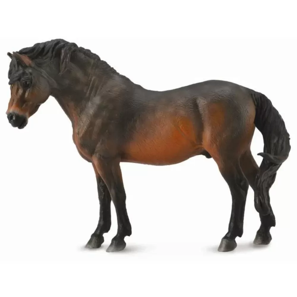 Clearance Collecta Dartmoor Pony Animale Giocattolo