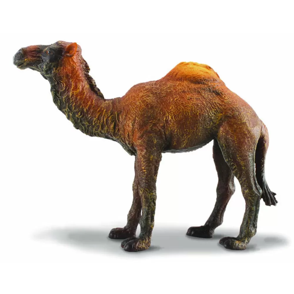 Best Sale Collecta Dromedario Animale Giocattolo