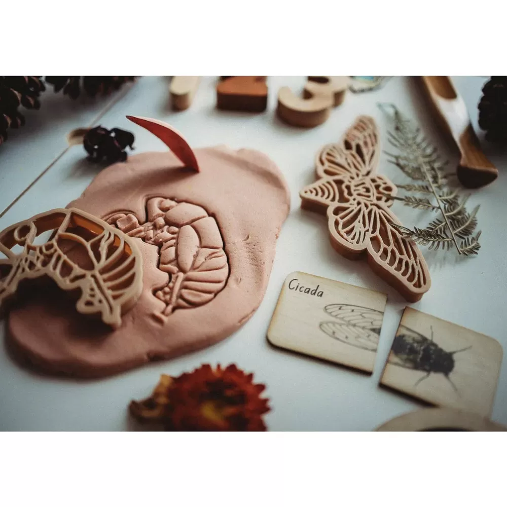 Hot Kinfolk Pantry Formine In Bioplastica Per Pasta Modellabile Ciclo Vitale Della Cicala