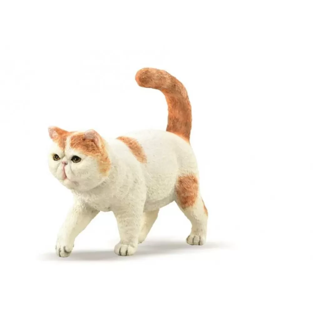Outlet Collecta Gatto Esotico Animale Giocattolo