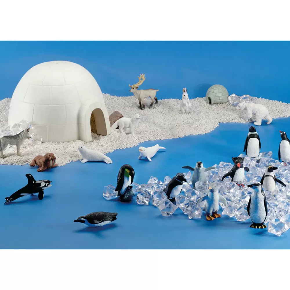 Cheap Yellow Door Igloo