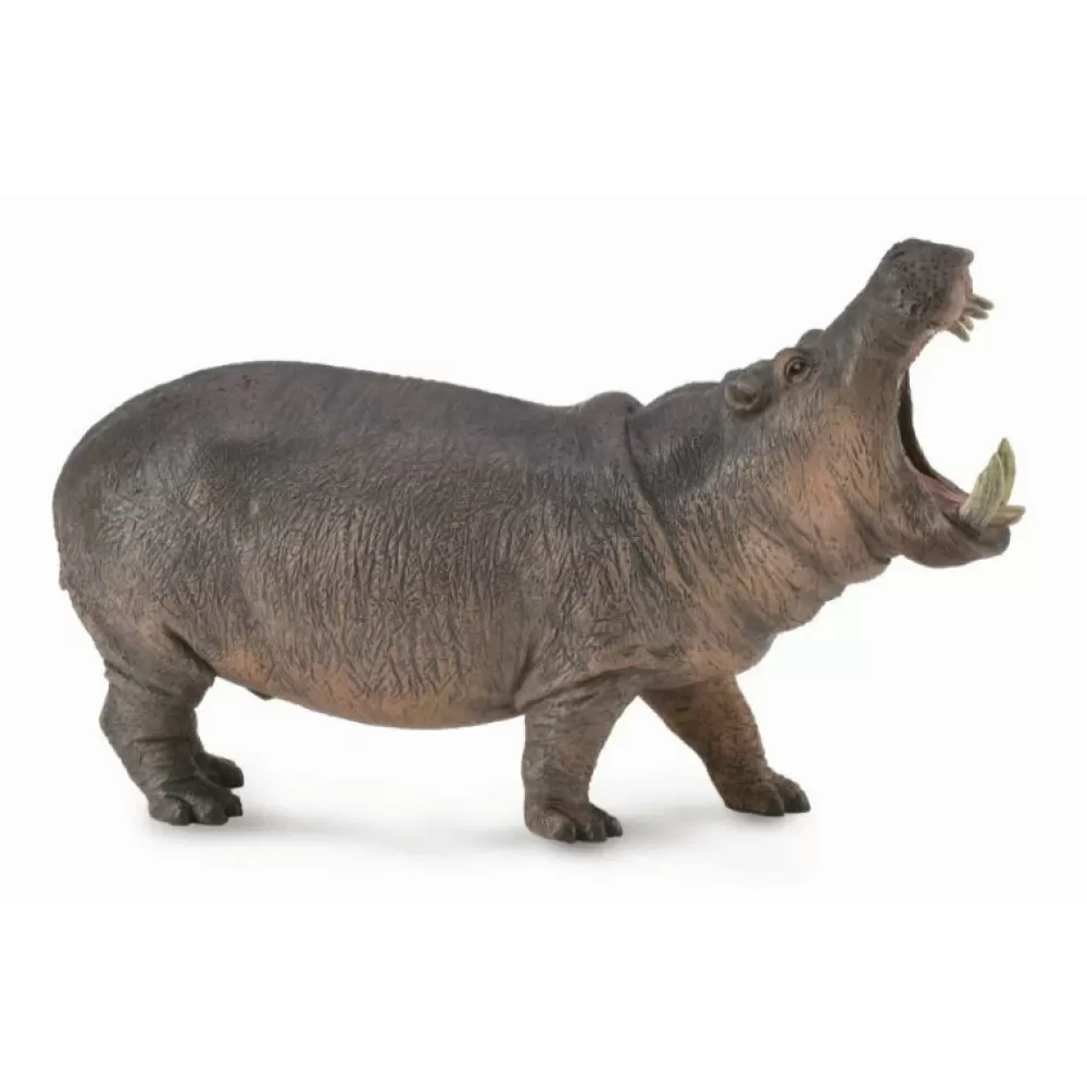 Flash Sale Collecta Ippopotamo Animale Giocattolo