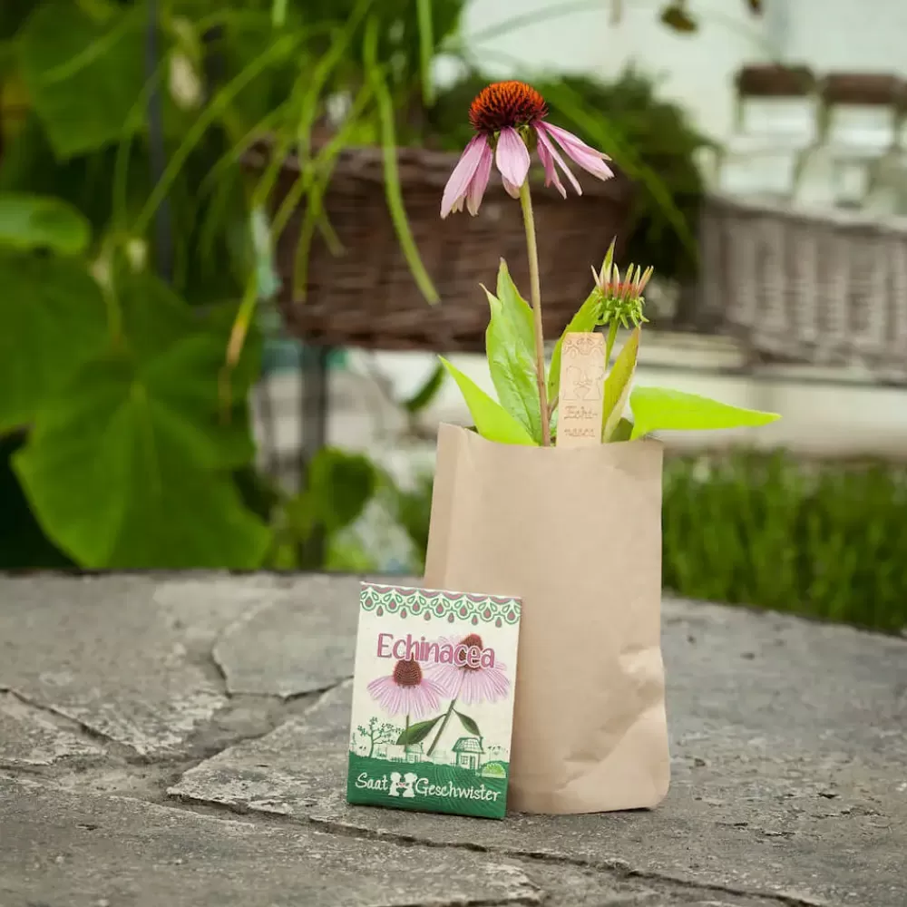 Outlet Die Stadtgärtner Mini Giardino - Echinacea - Die Stadtgartner