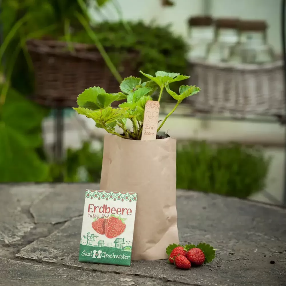 Flash Sale Die Stadtgärtner Mini Giardino - Fragola Tubby Red - Die Stadtgartner