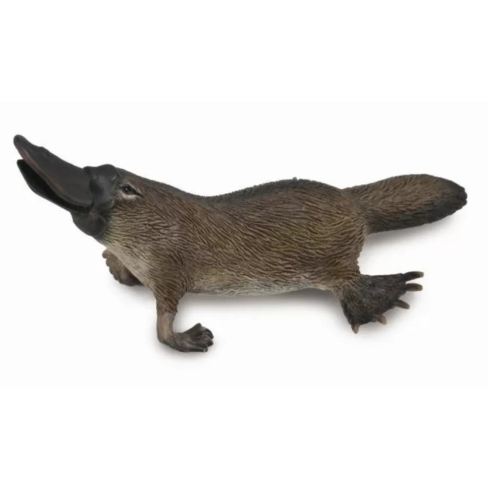 Cheap Collecta Ornitorinco Animale Giocattolo