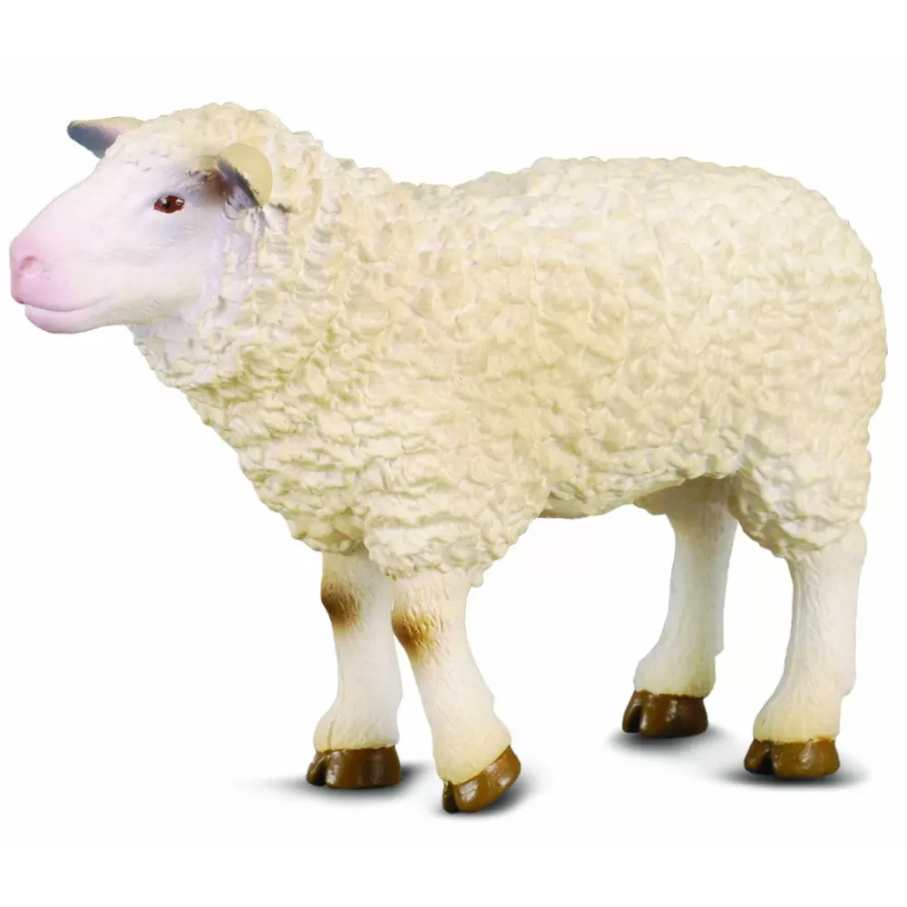 Hot Collecta Pecora Animale Giocattolo