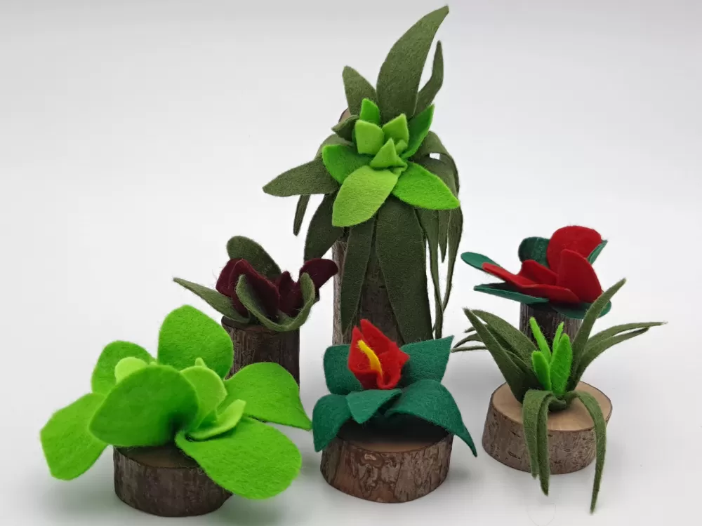 Sale Magic Wood Piante Per Minimondi - Vegan Friendly -