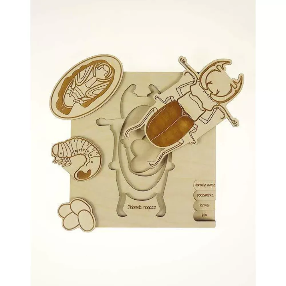 Clearance Stuka Puka Puzzle In Legno Ciclo Vitale Del Cervo Volante