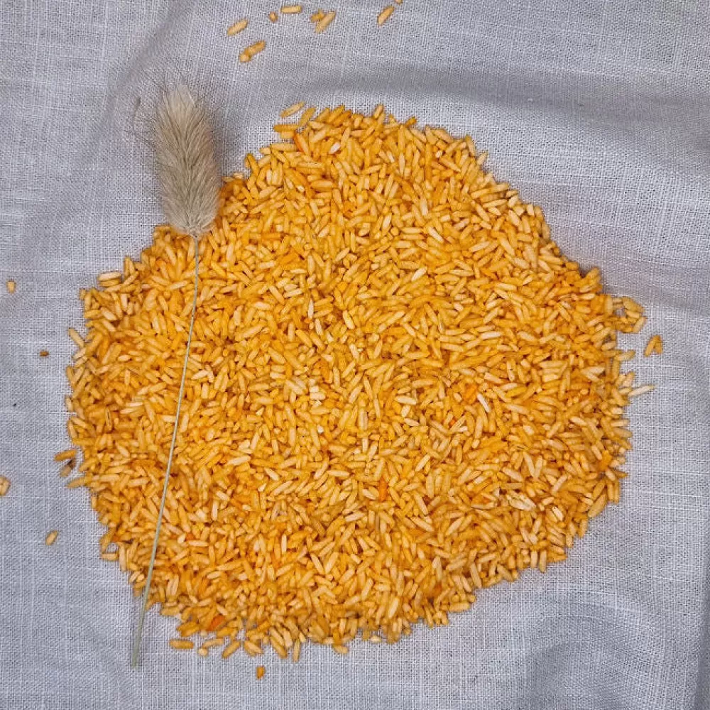 Cheap Grennn Riso Sensoriale Arancione