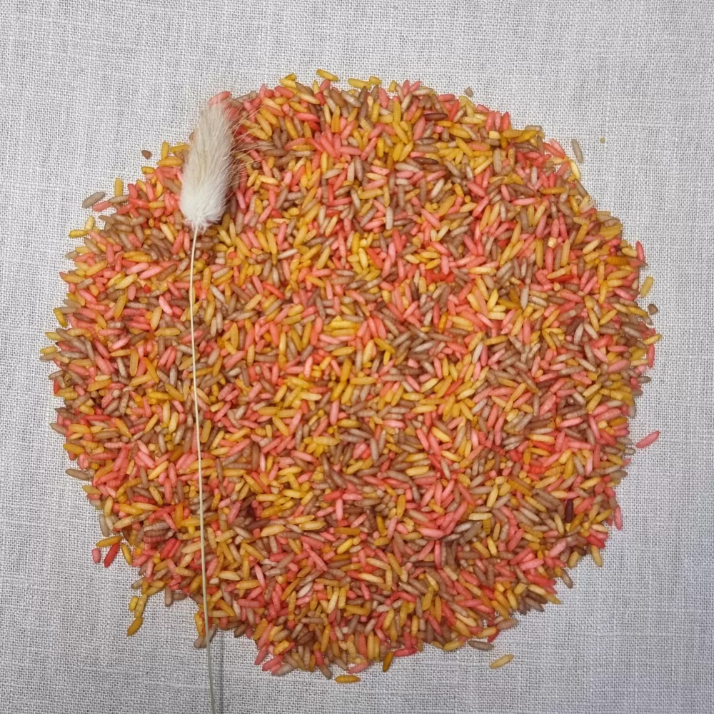 Store Grennn Riso Sensoriale Mix Autunnale
