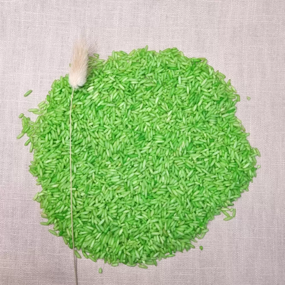 Fashion Grennn Riso Sensoriale Verde