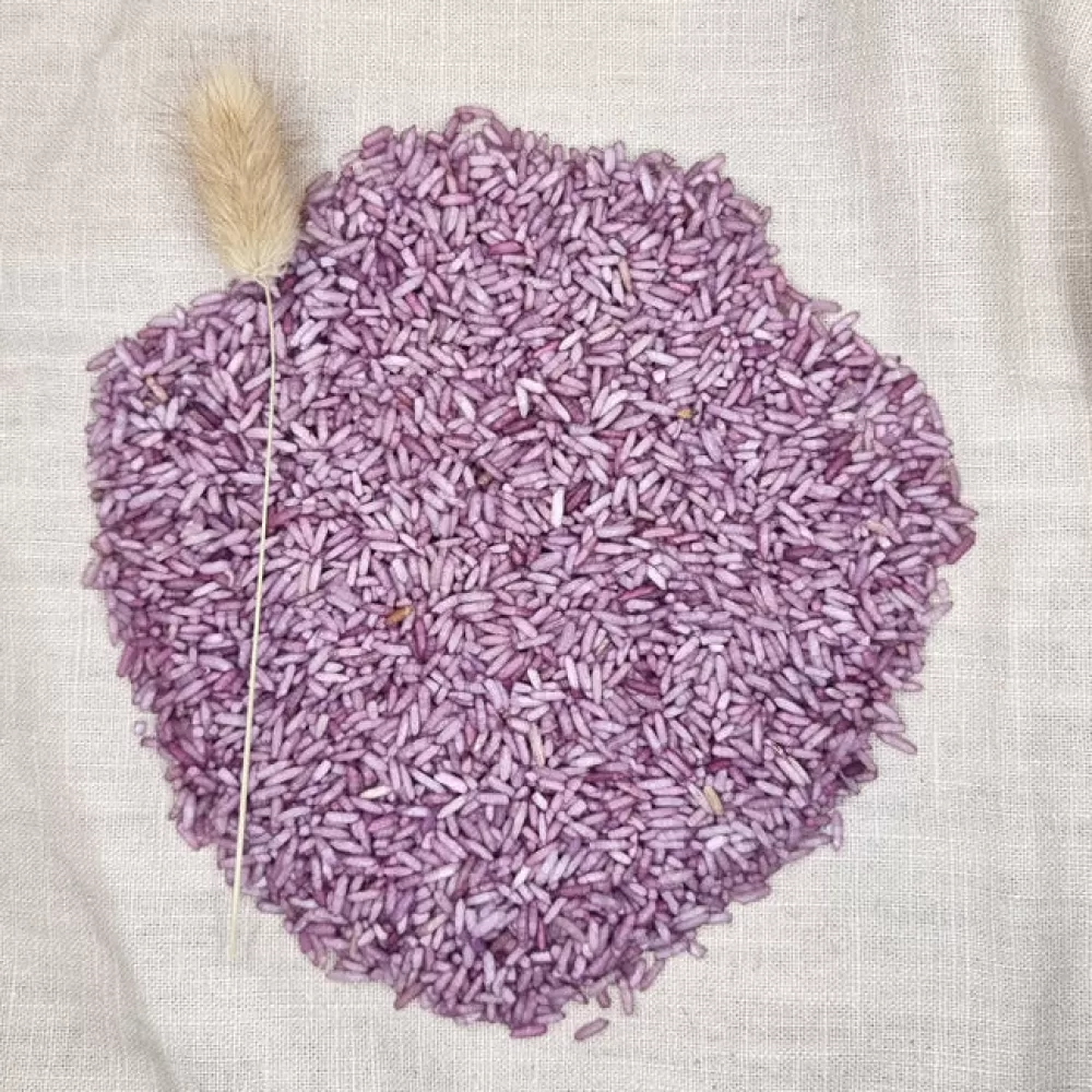 Cheap Grennn Riso Sensoriale Viola