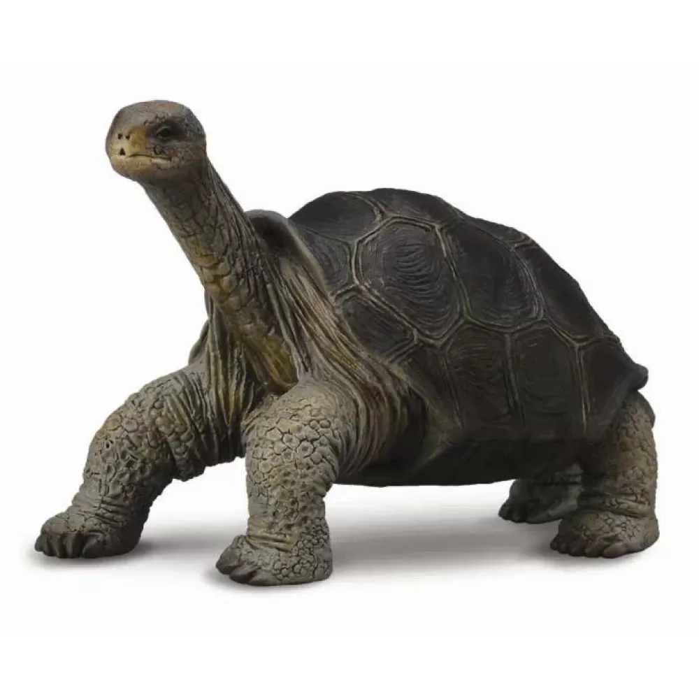 Shop Collecta Tartaruga Gigante Animale Giocattolo