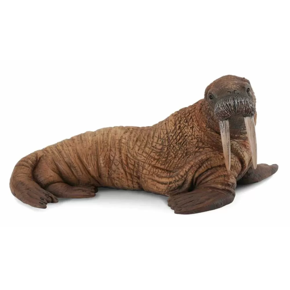 Best Collecta Tricheco Animale Giocattolo